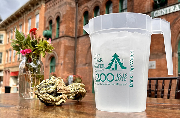 A York Water Company branded water pitcher is full of water on a table with a flower arrangement and a gourd. In the background is York's Central Market building