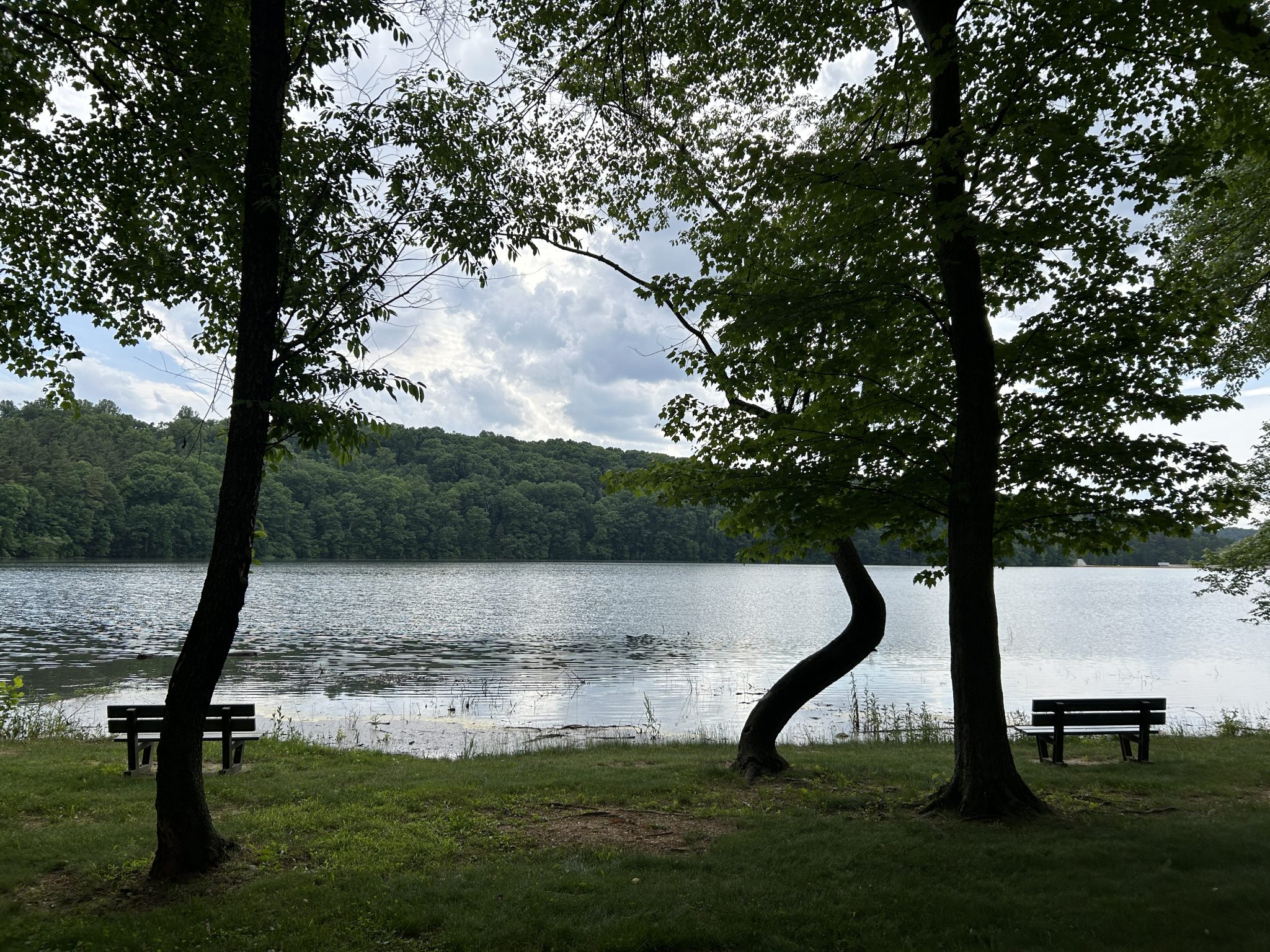 Lake Williams Reopens The York Water Company