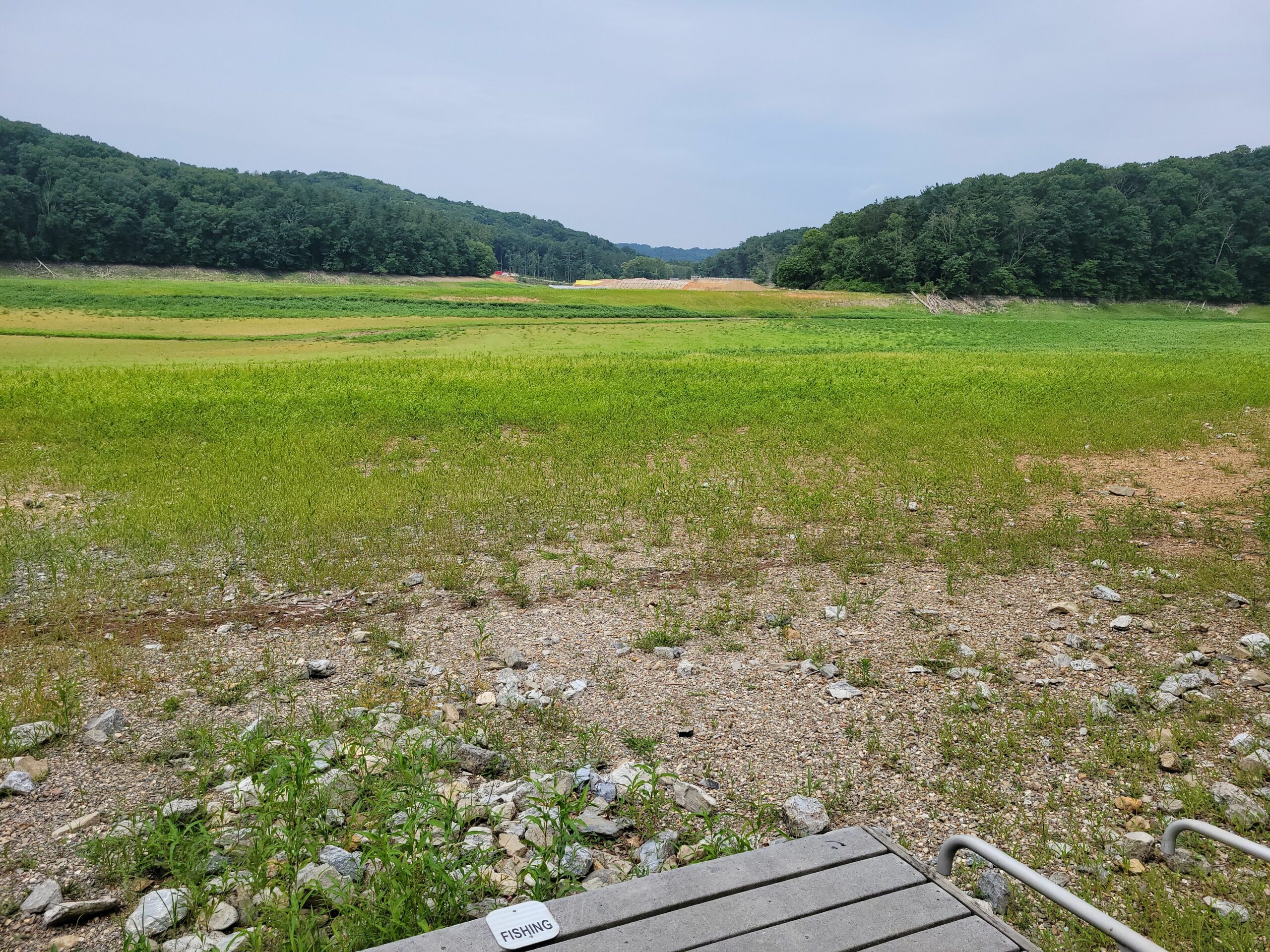 Vegetation that has been submerged for the majority of the past 110 years is once again visible in the lake bed of Lake Williams. The land that is now Lake Williams was once farmland in the 1900’s.