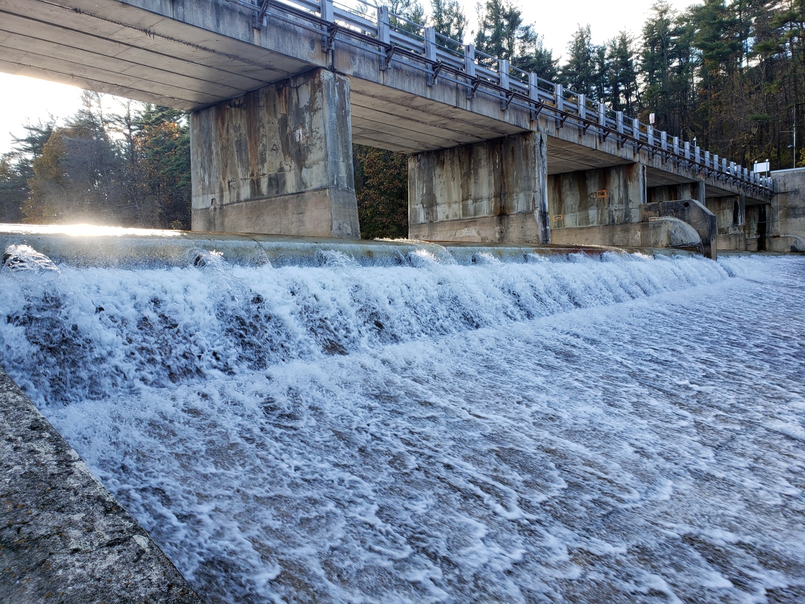 Lake Williams is “full” to the bottom of the bascule gates.