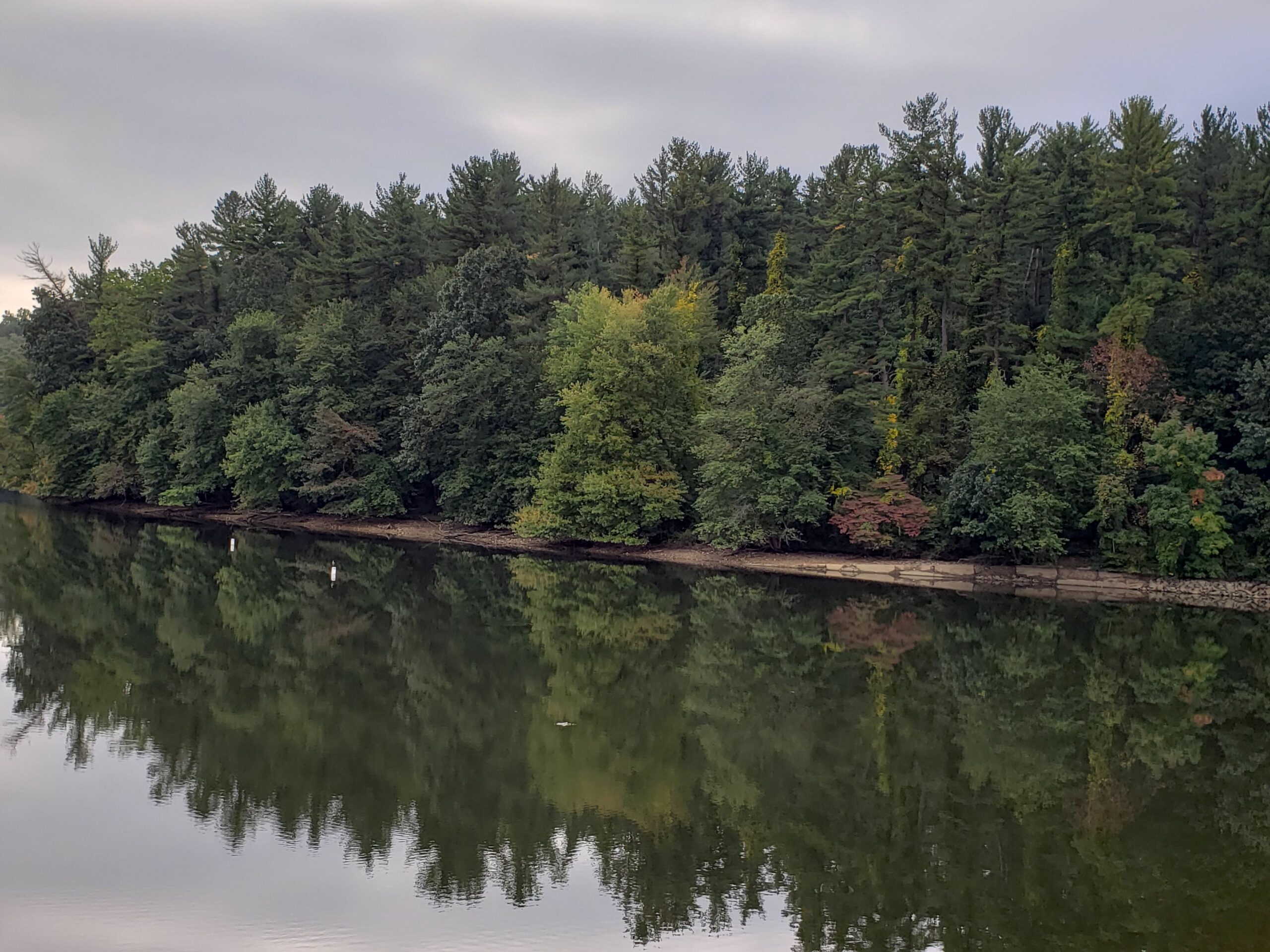 Lake Williams reservoir has been lowered about 6 feet