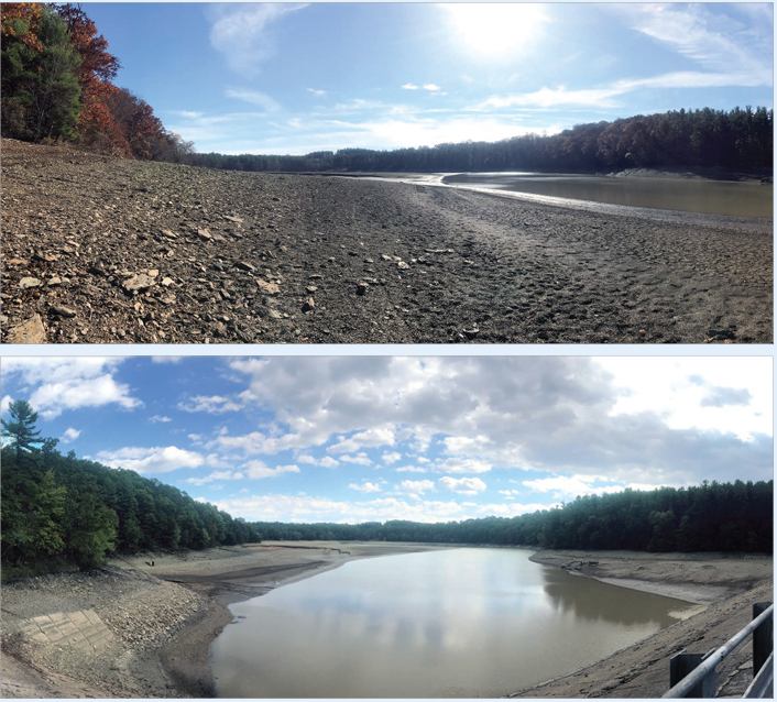 Lake Williams Drained in 2018