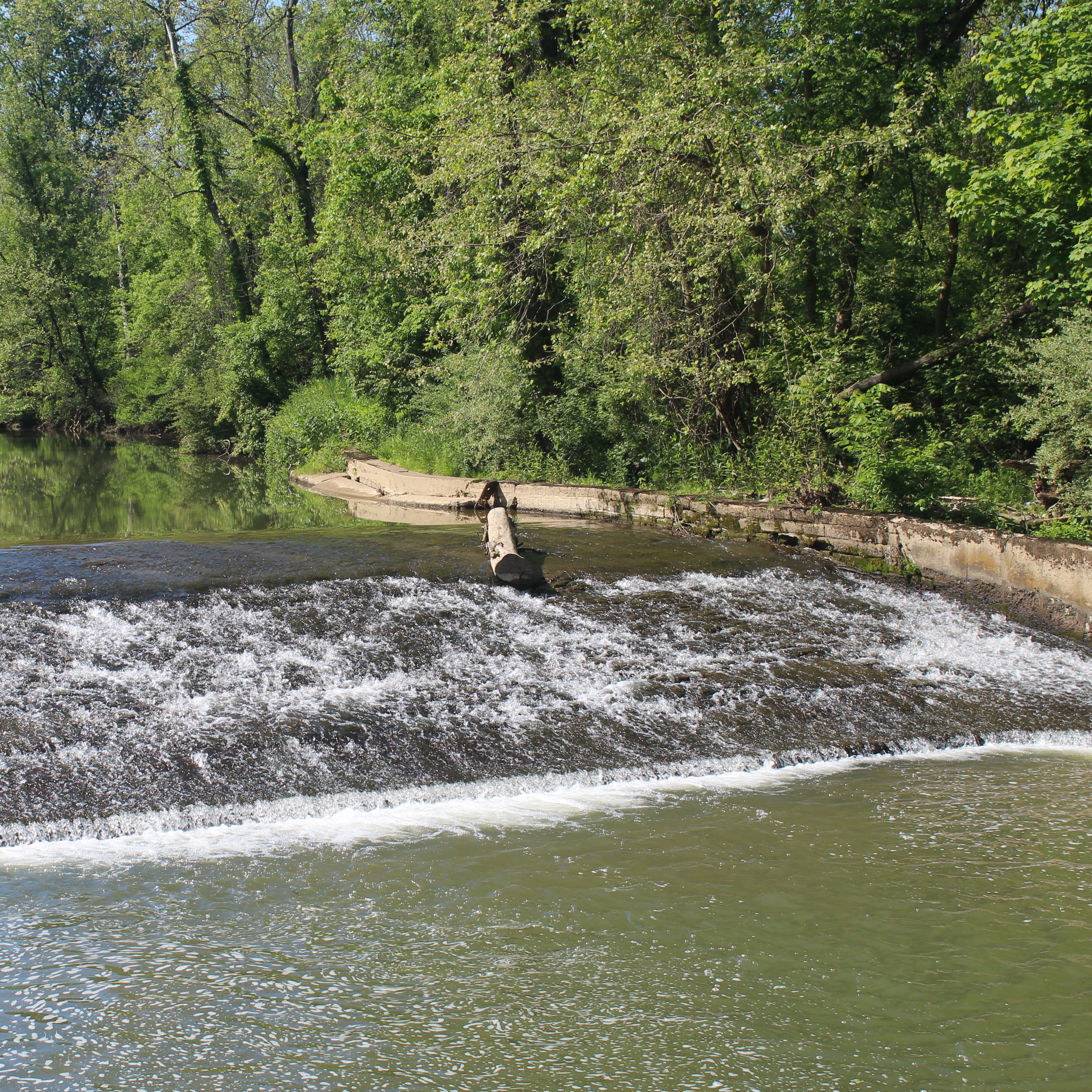 Water flowing down a river, cascading down a shallow section with a log partially across the water.