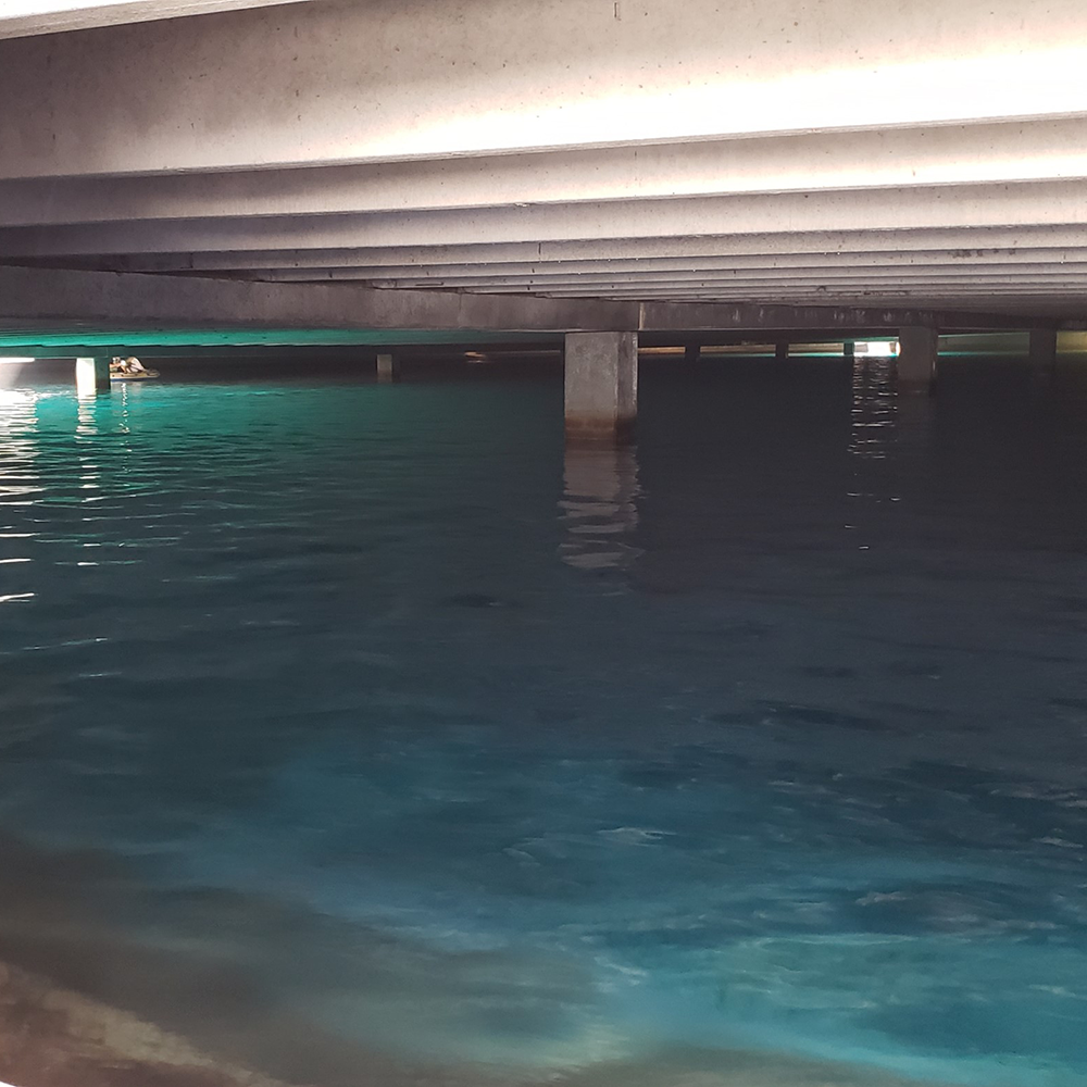 Image under the concrete covers of the water storage tanks at York Water.