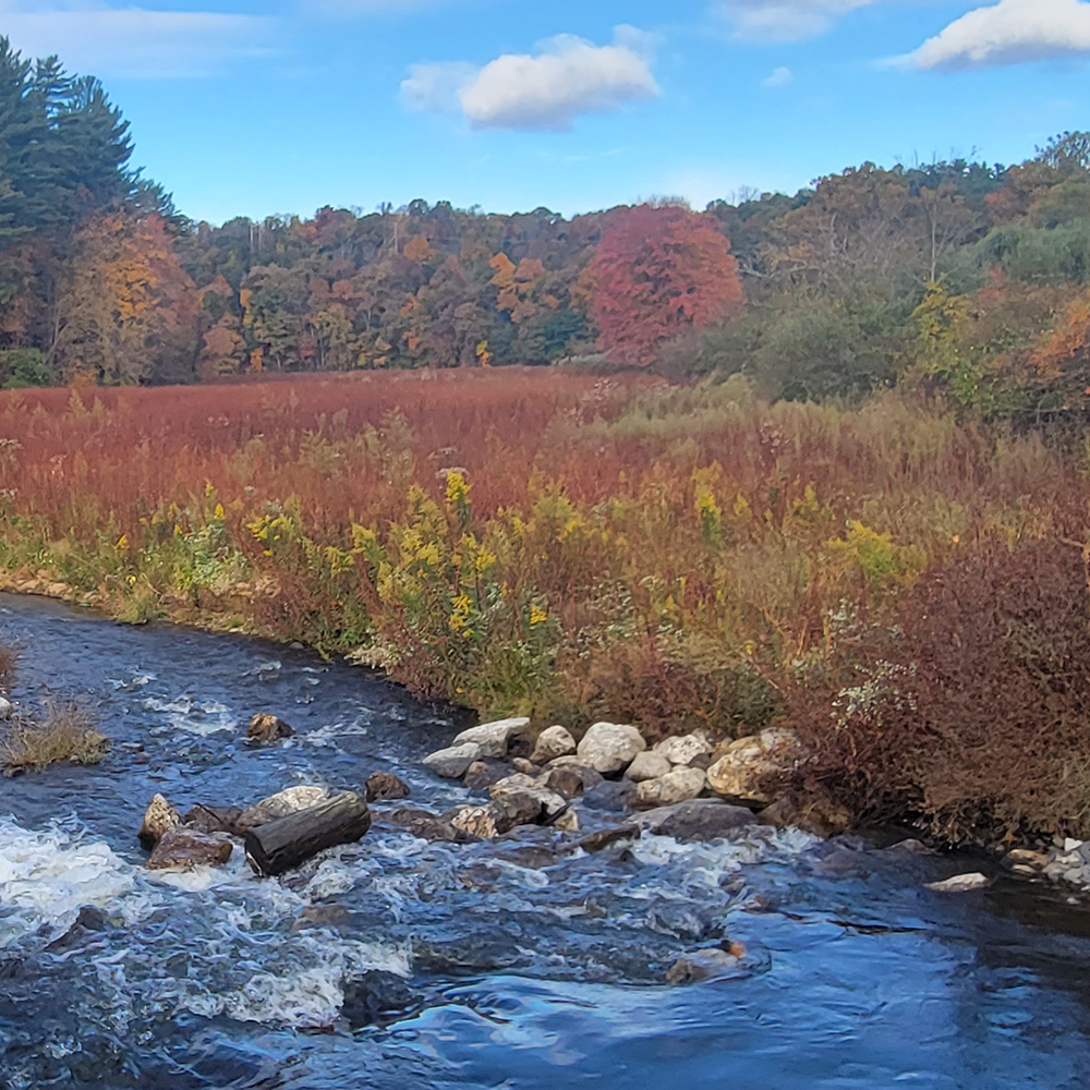 A shallow stream flows over exposed rocks.